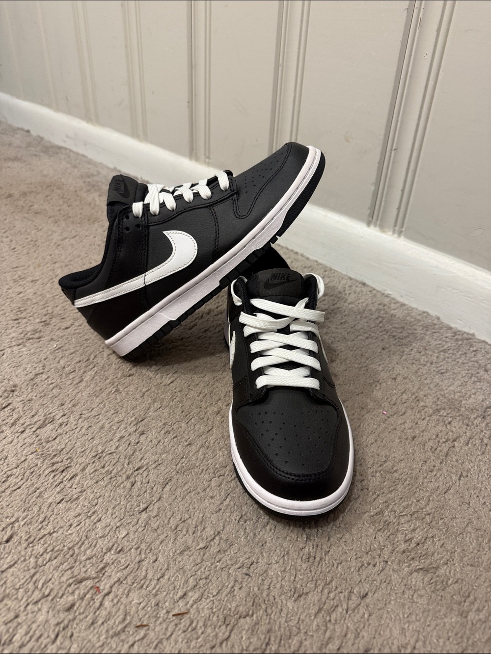 Nike Dunk Low- Blank Panda 2.0